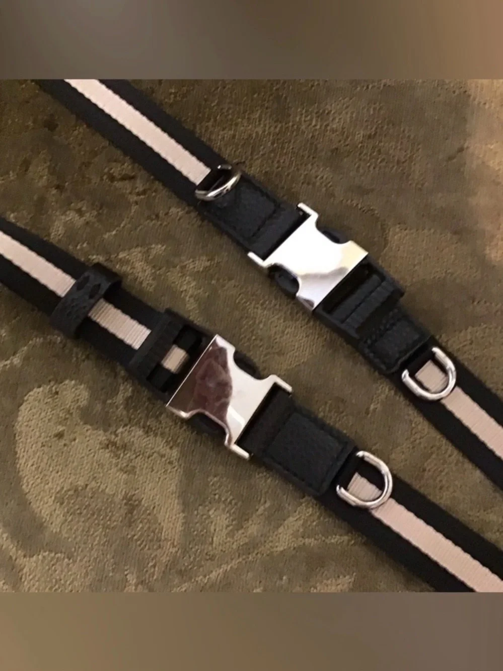 Bandolier Brooke Canvas Crossbody Replacement Strap Only - Black/White Striped